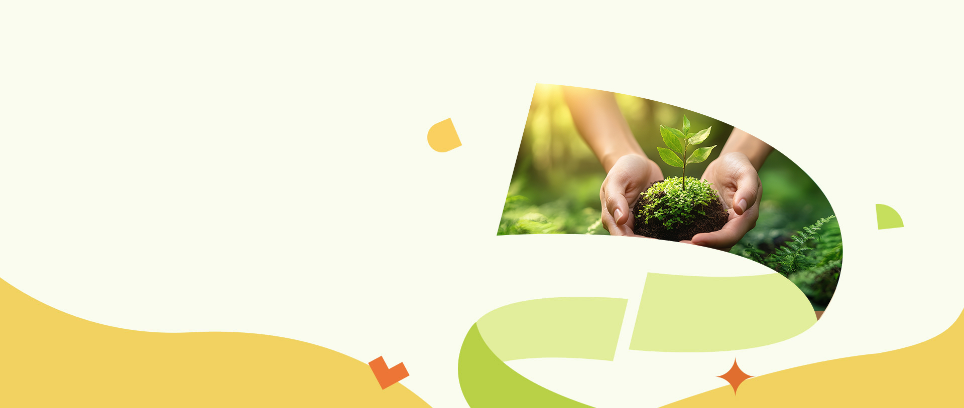 Sustainable Management