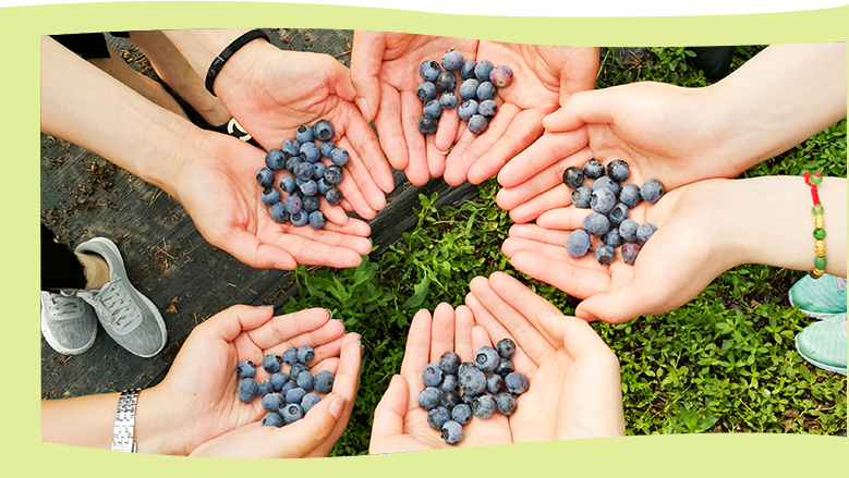 Improve corporate governance