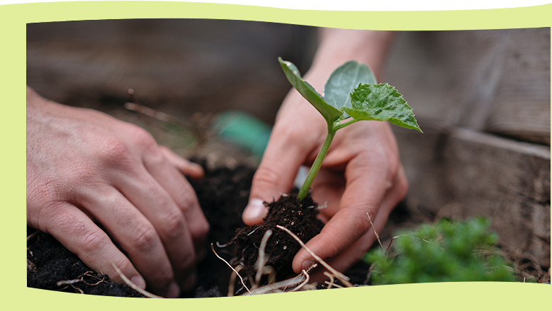 Safeguard social welfare