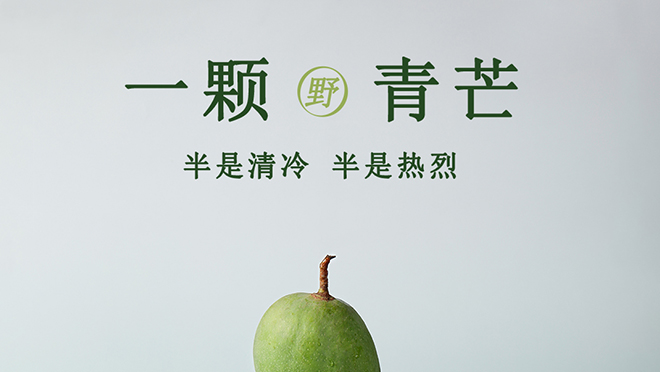 青皮裹玉·翡翠闪耀的芳香协奏曲