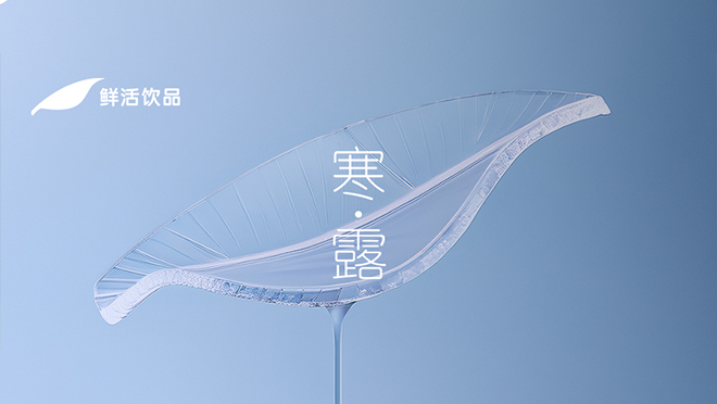 寒露丨长空雁字，万叶秋声