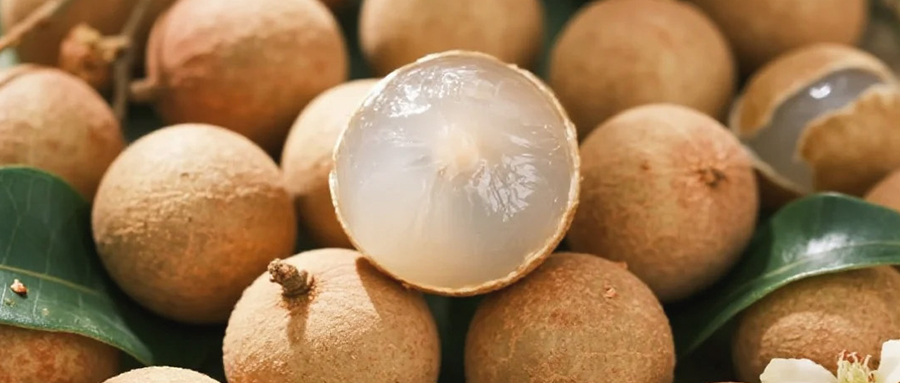 舌尖上的晴光味，两广龙酱甜得纯粹