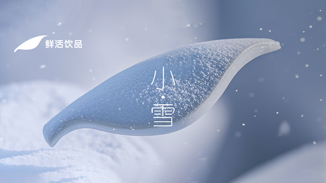 小雪丨飞琼点素，人间小妆