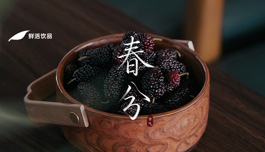 春分丨玄鸟均昏晓