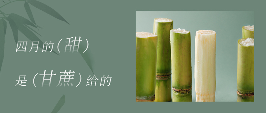 春日不燥，喝点“甘”货