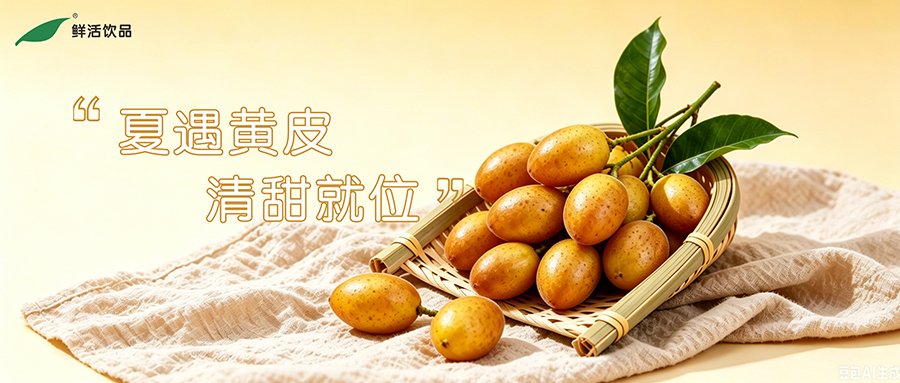一捧金黄鲜韵，一口清冽赴盛夏