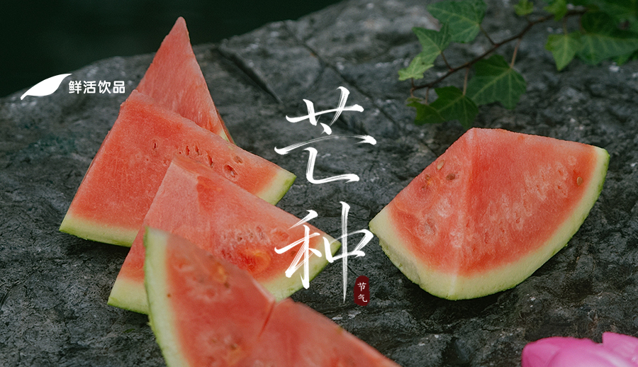芒种丨梅雨浸新秧