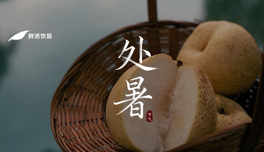处暑丨残荷收宿雨