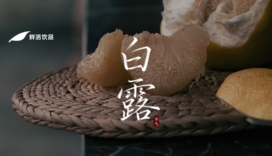 白露丨月凝一夜白